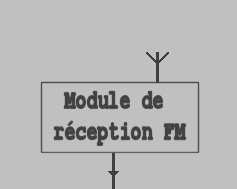 reception FM