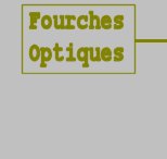 Fourches optiques